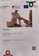Programa + Ativa��o - Parceria com o IEFP